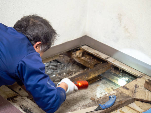 Best Industrial Mold Remediation in Lford, MI