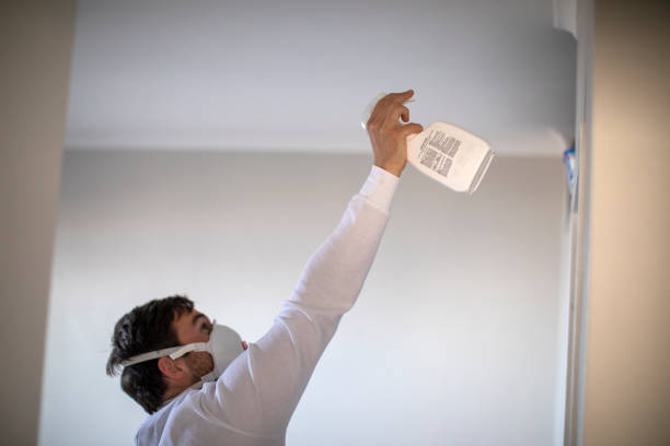 Best Attic Mold Remediation in Lford, MI