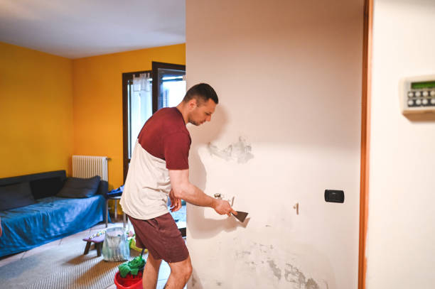 Best Commercial Mold Remediation in Lford, MI